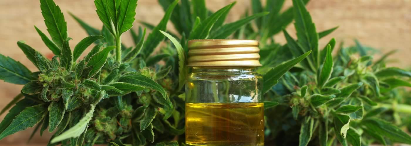 CBD Costa Brava - Blog