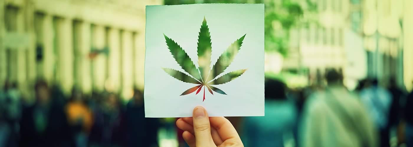 CBD Costa Brava - Términos y condiciones