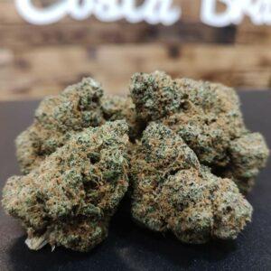 CBD Costa Brava - Productos - Flores CBD - Killer Queen