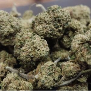 CBD Costa Brava - Productos - Flores CBD - Candy Crash cultivo Greenhouse